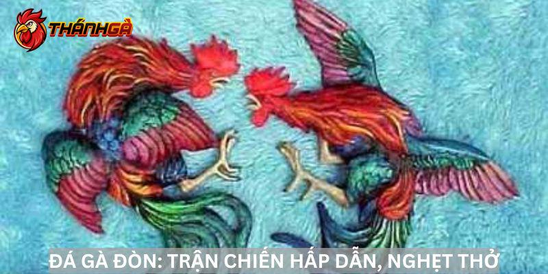 Những trận đá gà đòn nảy lửa, đầy phấn khích